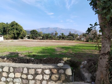 Plot For Resale in Chakrata Dehradun  7334951