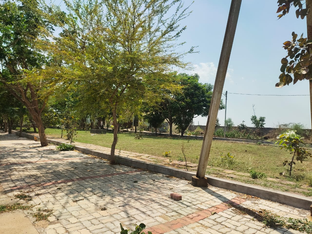 Plot For Resale in Kandul Raipur  7334938