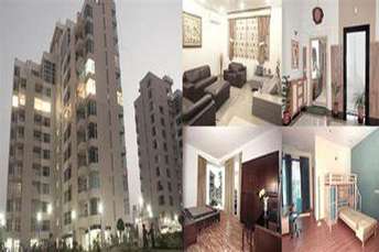 3.5 BHK Apartment For Rent in Raheja Atlantis Sector 31 Gurgaon  7335128