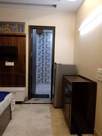 Studio Apartment For Rent in Lajpat Nagar Iii Delhi  7335232