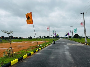 Plot For Resale in Rajapet Hyderabad  7335484