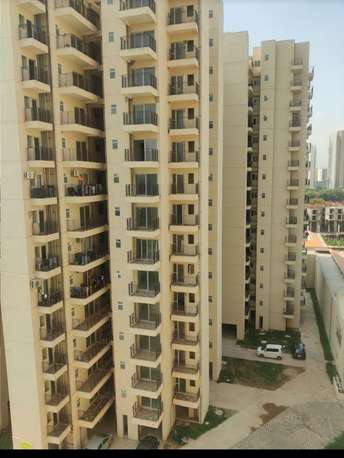 2 BHK Apartment For Rent in Pivotal Paradise Sector 62 Gurgaon  7335965