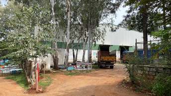 Commercial Warehouse 30000 Sq.Ft. For Rent in Nelamangala Bangalore  7336018