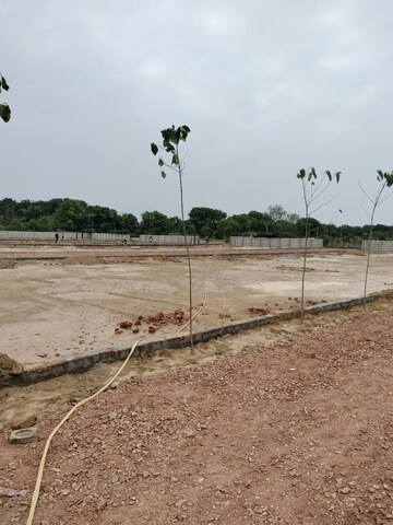 Plot Area in  Plot at Chithara – for Sale