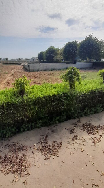 Plot Area in  Plot at Jewar – for Sale