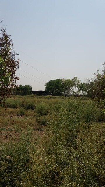  Plot For Sale in Sector 39