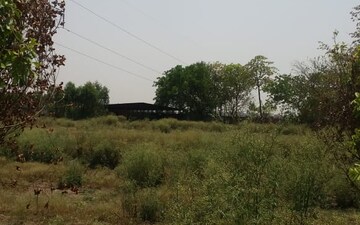 Plot For Sale in Sector 39