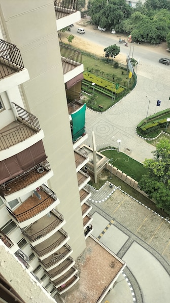 5 BHK Apartment For Resale in RPS Auria Sector 88 Faridabad  7336913