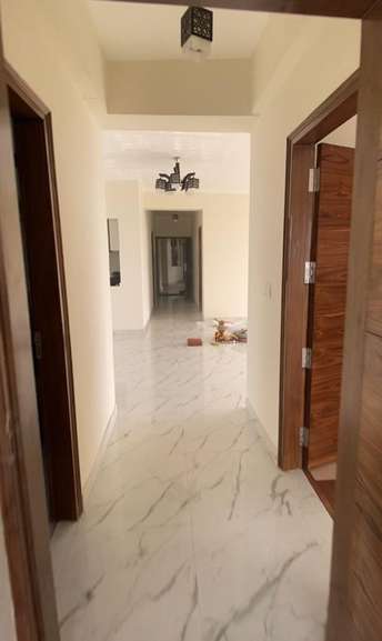 2 BHK Builder Floor For Rent in Sector 52 Noida  7336950