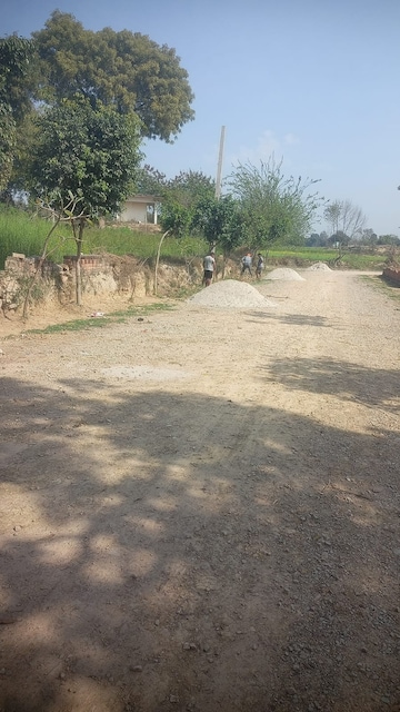 Plot Area in  Plot at Babatpur – for Sale
