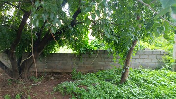  Plot – Garden View at Isro Layout - for Sale
