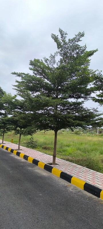  Plot – Garden View at Peddapur - for Sale