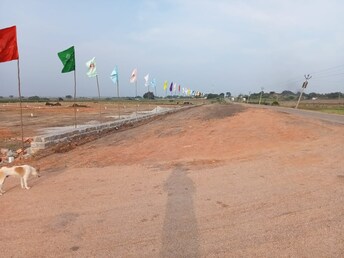 Plot For Resale in Jayaskandha Ramchandra Divine County Thimmapur Hyderabad  3853124