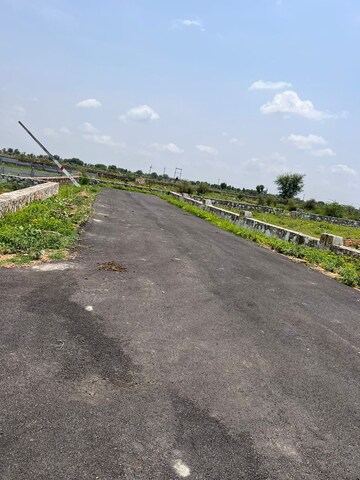  Plot For Sale in Sanganer