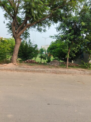 Plot Area in  Plot at Sector 109 – for Sale