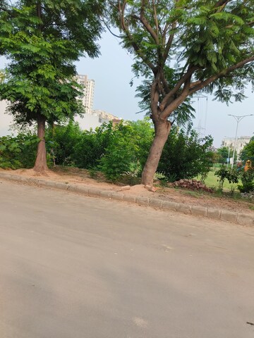  Plot – Garden View at Sector 109 - for Sale