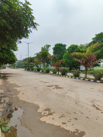 Plot Area in  Plot at Sector 110 – for Sale