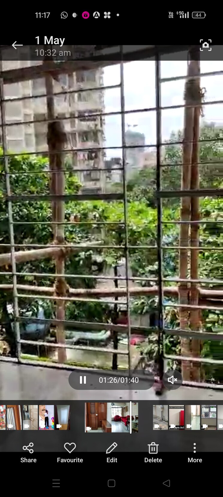 Balcony, dadar-manish-market 2 Bedroom 800 Sq.Ft. Apartment In Dadar West Mumbai 7338717