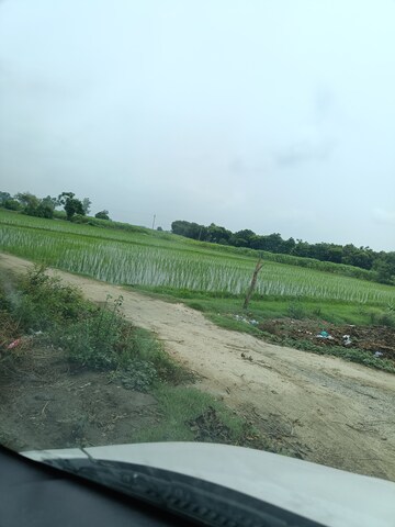  Land For Sale in Bapauli 