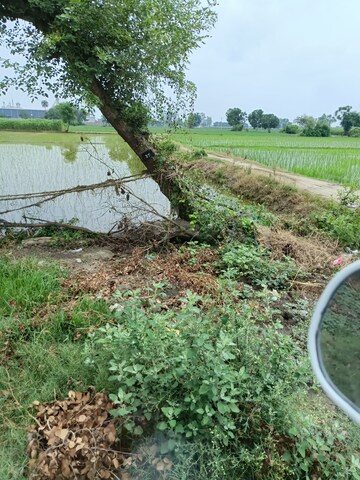 Plot Area in  Land at Bapauli  – for Sale