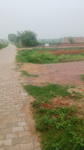 Plot Area in  Plot at Basai – for Sale