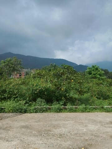 Plot Area in  Plot at Sahastradhara Road – for Sale