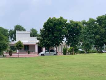 Plot For Resale in Chaksu Jaipur  7339407