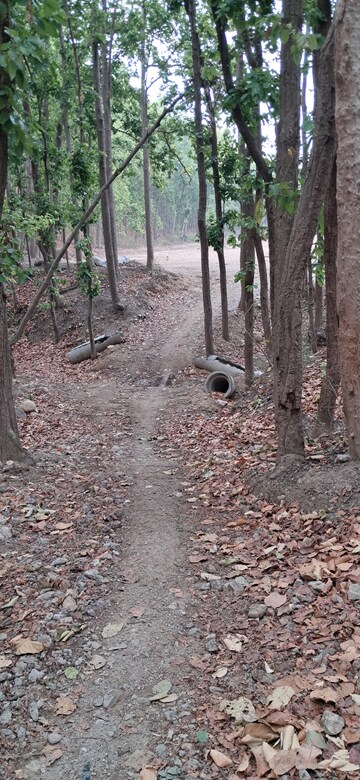 Plot Area in  Plot at Manduwala – for Sale
