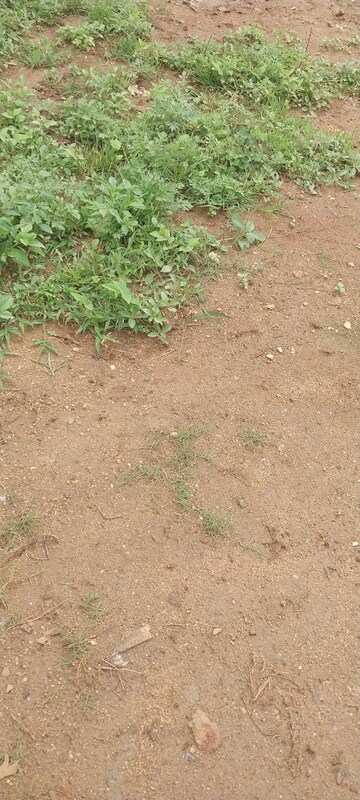 Plot Area in  Plot at Uttarahalli Main Road – for Sale