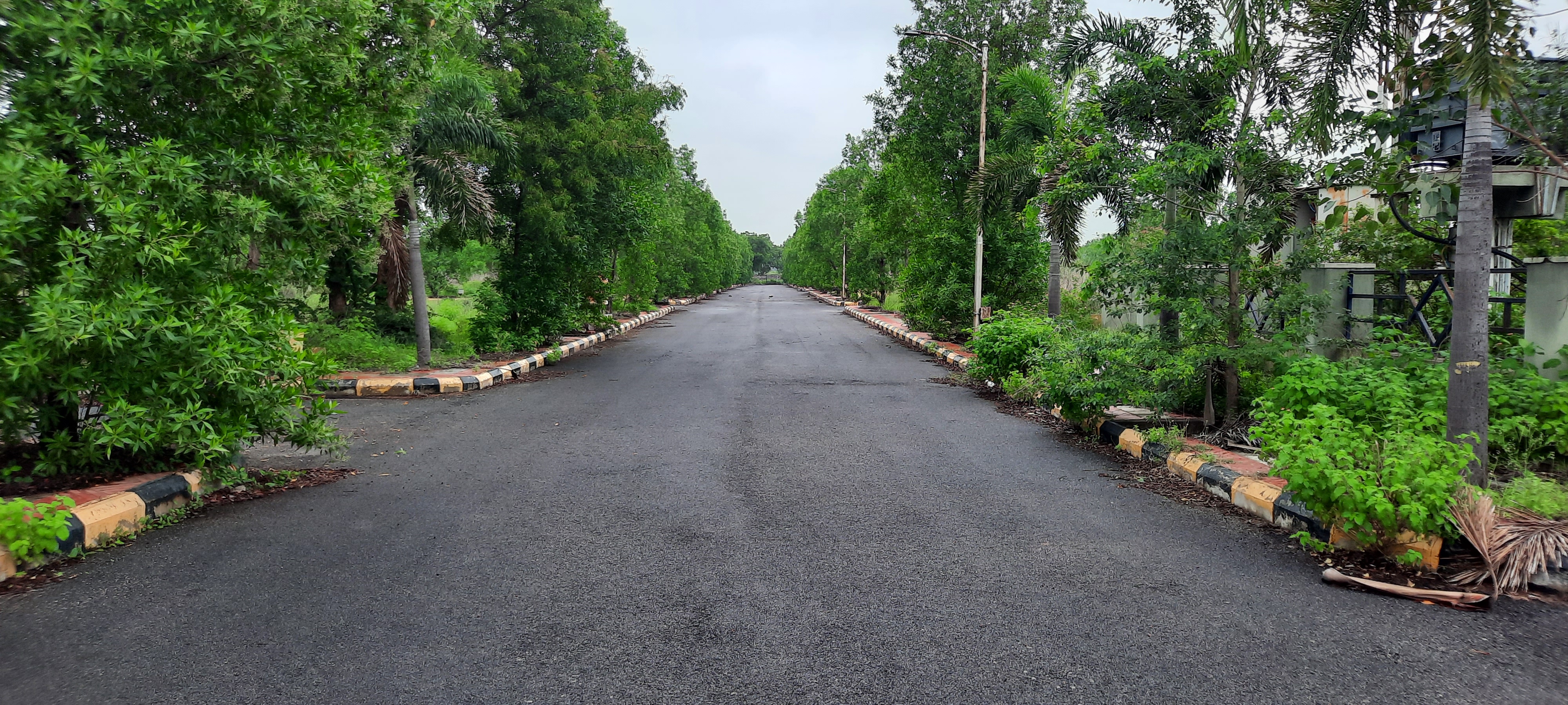 Plot For Resale in Kompally Hyderabad  7340184