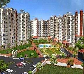2 BHK Apartment For Resale in Amrapali Jaura Heights Amrapali Leisure Valley Greater Noida  7340190