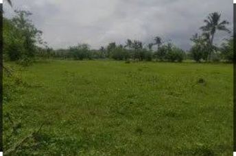 Plot For Resale in Murbad Thane  7340433