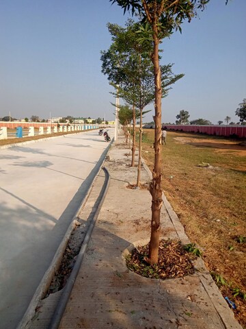  Plot – Exterior View View at Shadnagar - for Sale