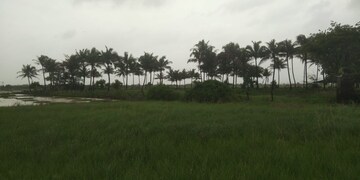Plot Area in  Plot at Pen – for Sale
