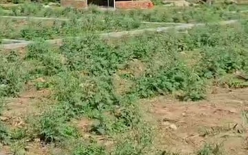 Plot For Sale in Alwar Bypass Road