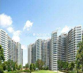 3 BHK Apartment For Rent in Amrapali Pan Oasis Sector 70 Noida  7341887