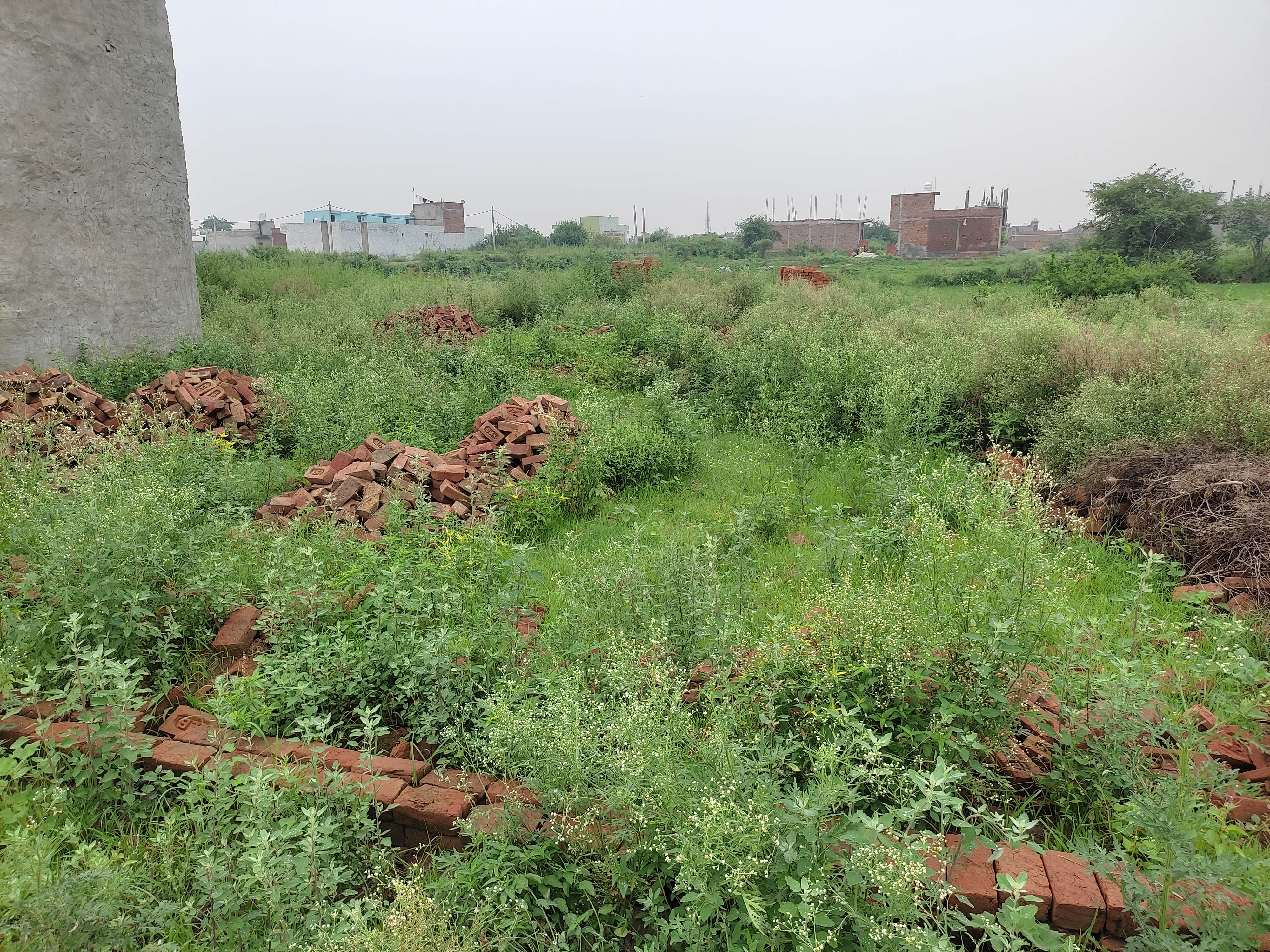 Plot For Resale in Achheja Greater Noida  7341947