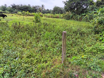 Plot Area in  Plot at AluvA- Paravoor Road – for Sale