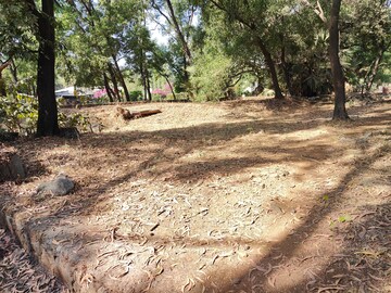 Plot Area in  Plot at AluvA- Paravoor Road – for Sale
