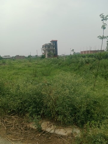 Plot Area in  Plot at Altus Prime, North Mullanpur – for Sale