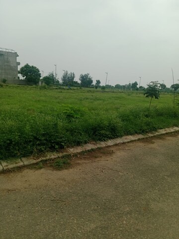  Plot For Sale in Altus Prime, North Mullanpur