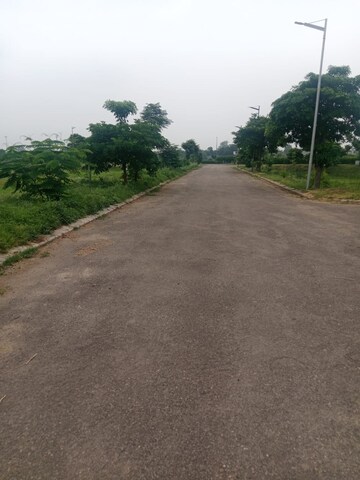 Plot Area in  Plot at Altus Prime, North Mullanpur – for Sale