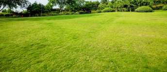 Commercial Land 500 Sq.Yd. For Rent in Malviya Nagar Jaipur  7343905