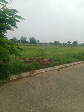  Plot For Sale in Altus Prime, North Mullanpur