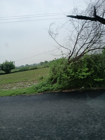  Plot – Garden View at Sector 99a - for Sale
