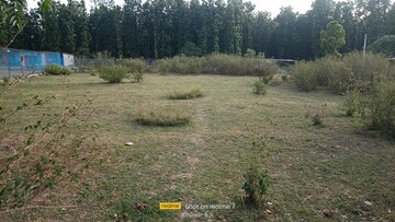 Plot Area in  Plot at Raipur Road – for Sale