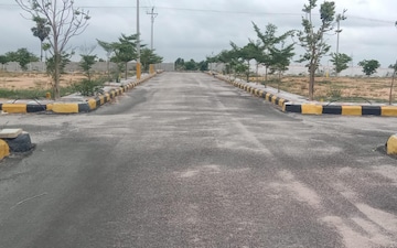 Plot For Sale in Padmarao Nagar