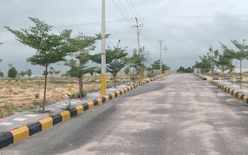 Plot For Sale in Hasmathpet