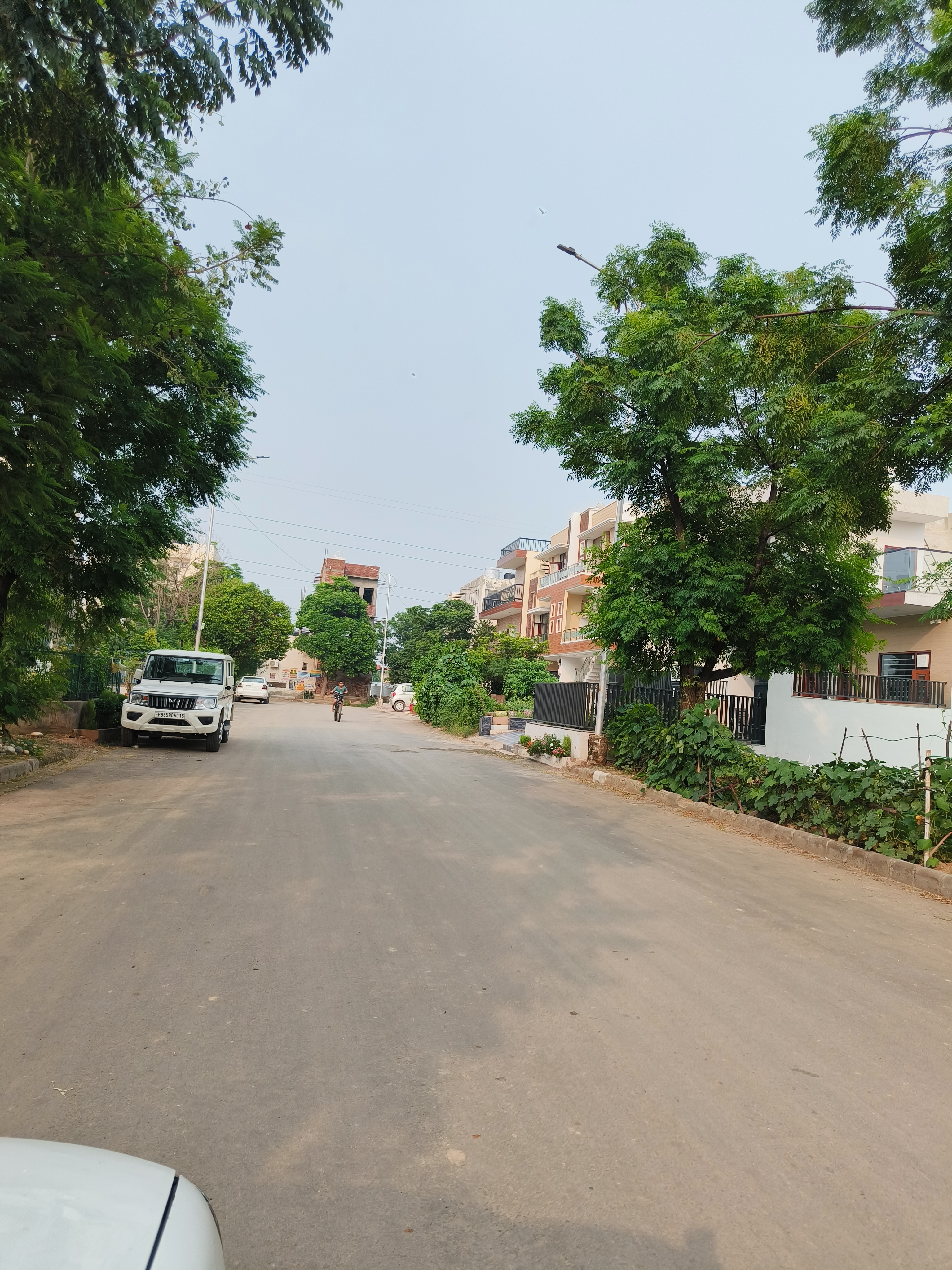 Plot For Resale in Sector 111 Mohali  7345494