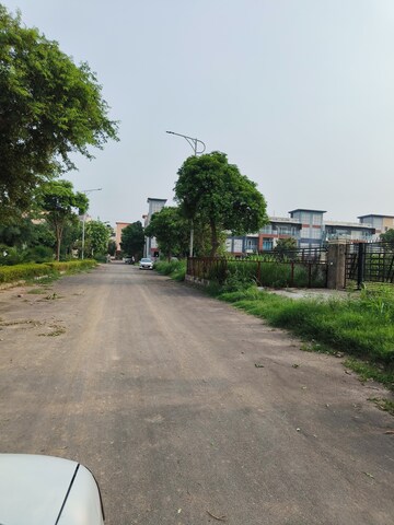  Plot For Sale in Sector 109
